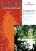 Pneuma Vol. 2 nº. 2 – Julio 2006