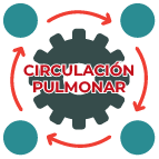 HIPERTENSIÓN PULMONAR